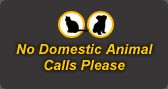 No Domestic Animal Calls